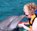 jill&dolphins3-e.jpg (115754 bytes)